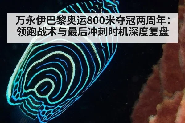 万永伊巴黎奥运800米夺冠两周年:领跑战术与最后冲刺时机深度复盘 - jiuyouhui