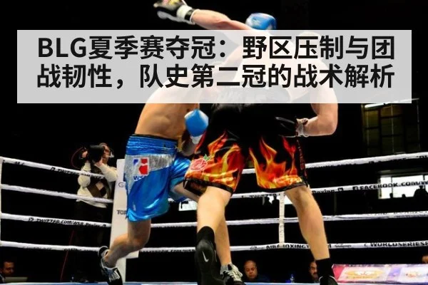 BLG夏季赛夺冠：野区压制与团战韧性，队史第二冠的战术解析